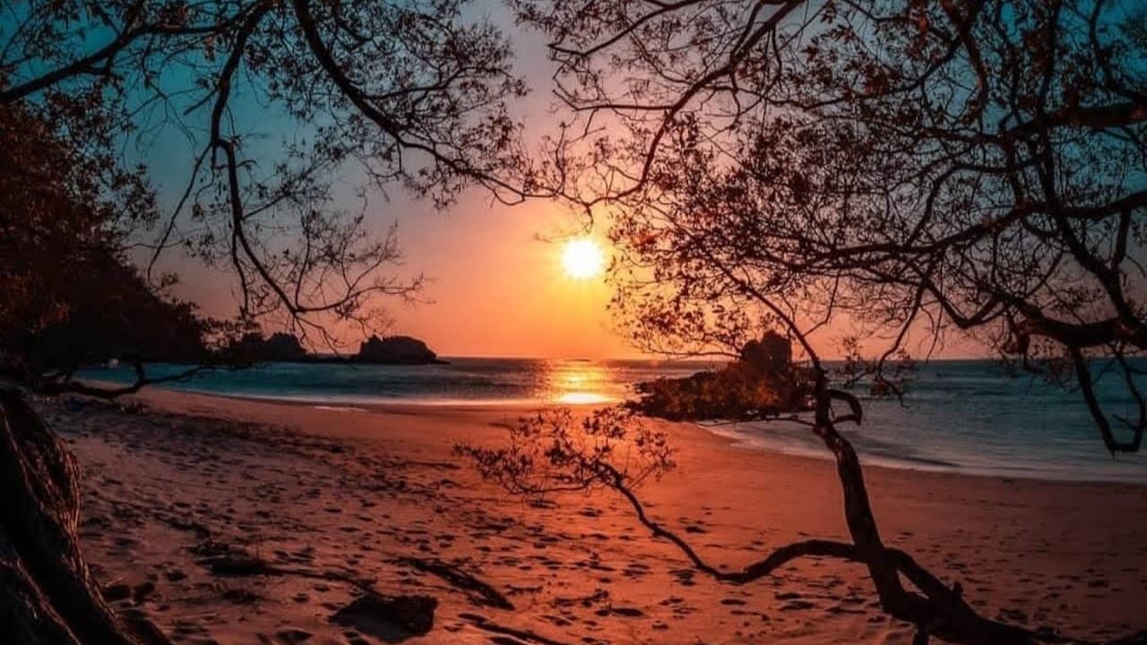 TheSocialTraveller Live Stream